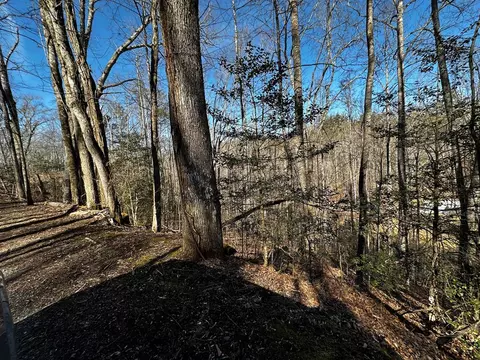 lot11 Blue Mist Mtn, Whittier, NC 28789