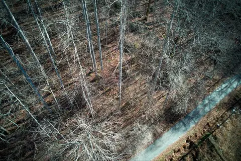 tbd Upper North Fork Rd, Sylva, NC 28779 photo 6