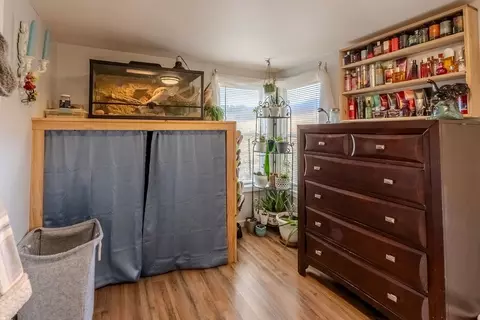 Other - 567 Clyde Downs Rd, Franklin, NC 28734 photo 4 of 6