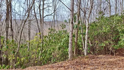 00 Lake Ridge Ln, Topton, NC 28781