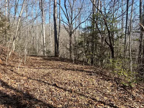 0 Lewis Cove Rd, Whittier, NC 28789