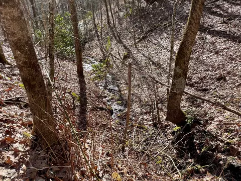 0 Deep Gap Vw, Whittier, NC 28789 photo 3