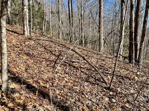 0 Deep Gap Vw, Whittier, NC 28789 photo 6