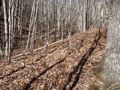0 Deep Gap Vw, Whittier, NC 28789 photo 4