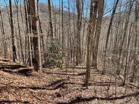 0 Deep Gap Vw, Whittier, NC 28789