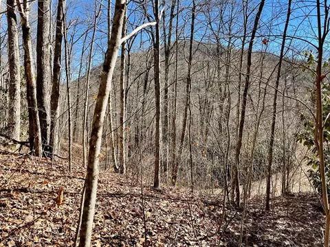 0 Deep Gap Vw, Whittier, NC 28789 photo 5