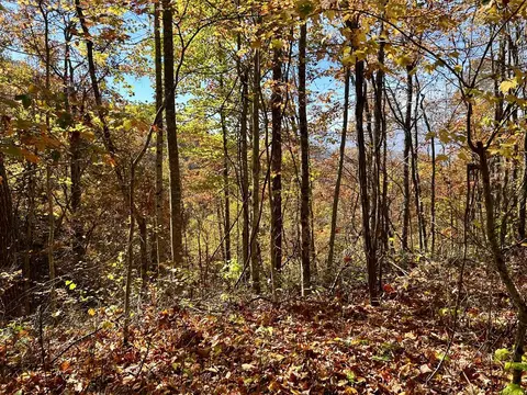 lot30 Owle Vw, Bryson City, NC 28713