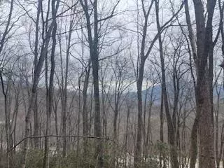 00 Murphy Rd, Franklin, NC 28734