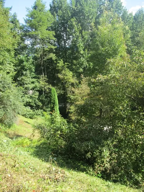 Exterior - 130 Bent Pine Trl, Sylva, NC 28779 photo 17 of 23