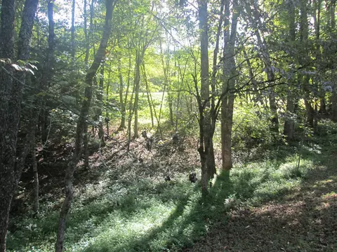 Exterior - 130 Bent Pine Trl, Sylva, NC 28779 photo 22 of 23