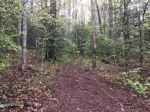 00 Low Brace Rd, Franklin, NC 28734