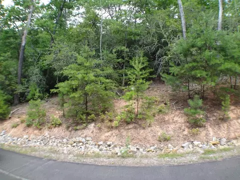 lot Apt 14 Porter Creek Dr, Franklin, NC 28734