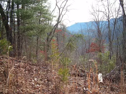 lot13 Cedar Cliffstovall, Tuckasegee, NC 28783