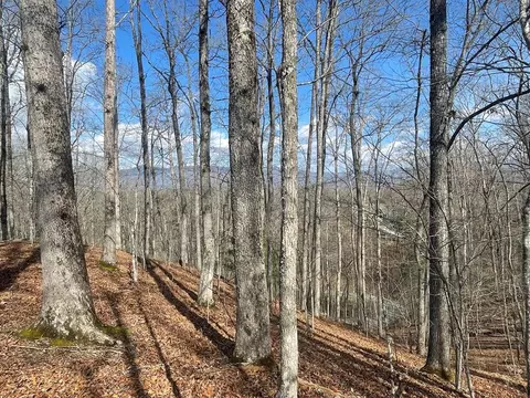 lot61 3 Fontana Loop S, Bryson City, NC 28713