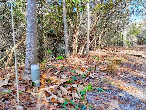 0 Ruby Knoll Ln, Franklin, NC 28734 photo 2