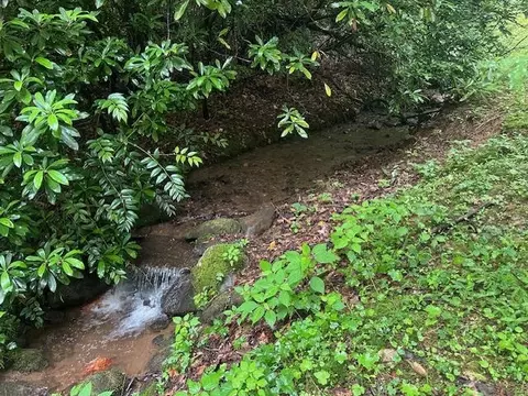 0 Mountain Forest Estates Rd, Sylva, NC 28779 photo 23