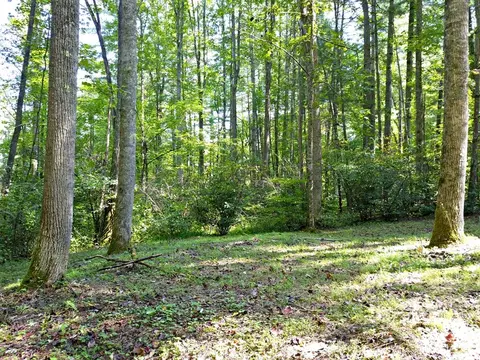 0 Mountain Forest Estates Rd, Sylva, NC 28779 photo 16