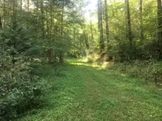 0 Mountain Forest Estates Rd, Sylva, NC 28779 photo 11