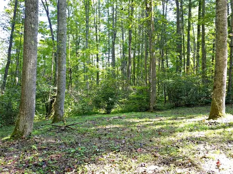 0 Mountain Forest Estates Rd, Sylva, NC 28779 photo 14