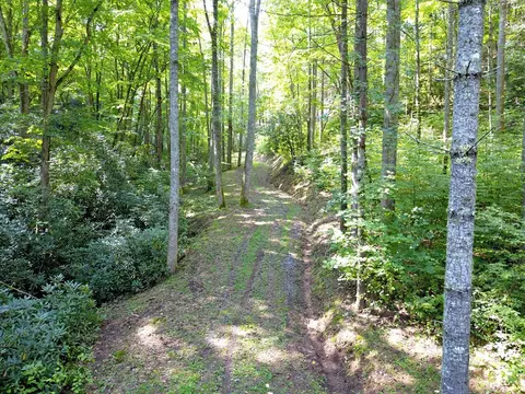 0 Mountain Forest Estates Rd, Sylva, NC 28779 photo 13
