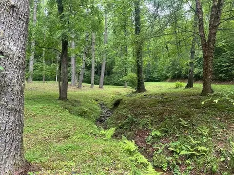 0 Mountain Forest Estates Rd, Sylva, NC 28779 photo 19