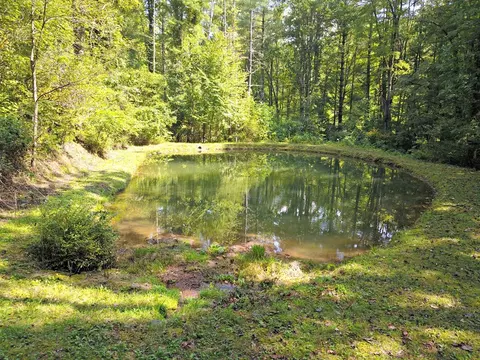 0 Mountain Forest Estates Rd, Sylva, NC 28779 photo 5