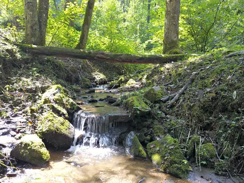 0 Mountain Forest Estates Rd, Sylva, NC 28779 photo 3