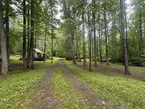0 Mountain Forest Estates Rd, Sylva, NC 28779 photo 22