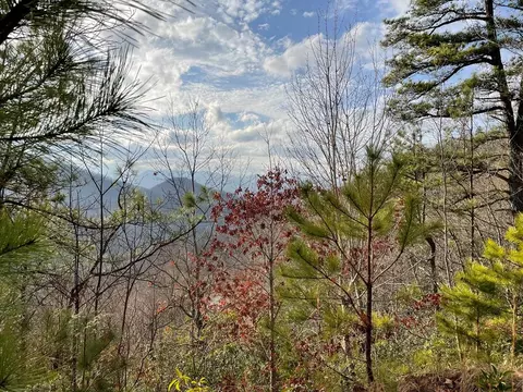 lot95 Doghobble Dr, Franklin, NC 28734
