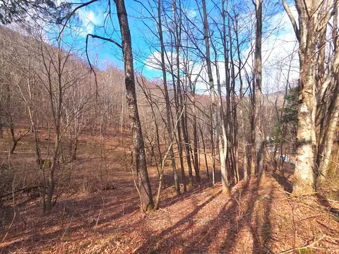 250 Rome Beauty Rd Tr5, Waynesville, NC 28785