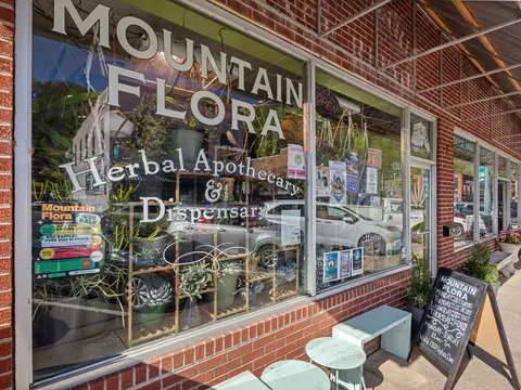 Other - 117 Jackson St, Sylva, NC 28779 photo 9 of 10