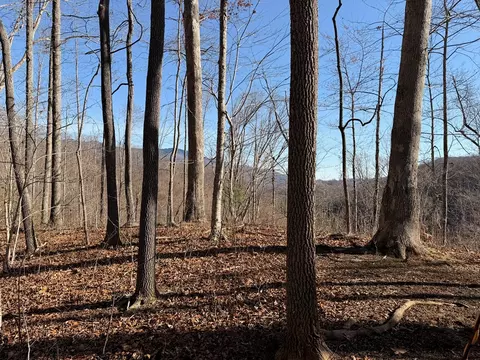0 Posey Blanton Rd, Sylva, NC 28779 photo 3