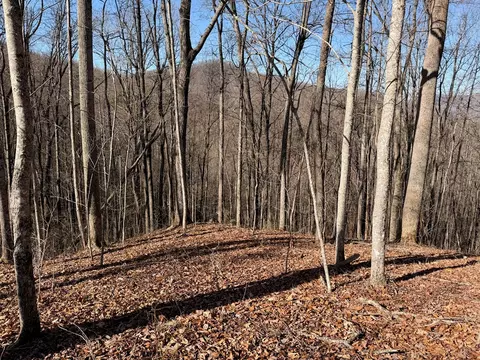 0 Posey Blanton Rd, Sylva, NC 28779 photo 5