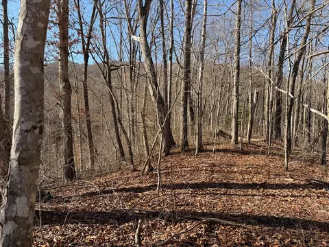 0 Posey Blanton Rd, Sylva, NC 28779 photo 4