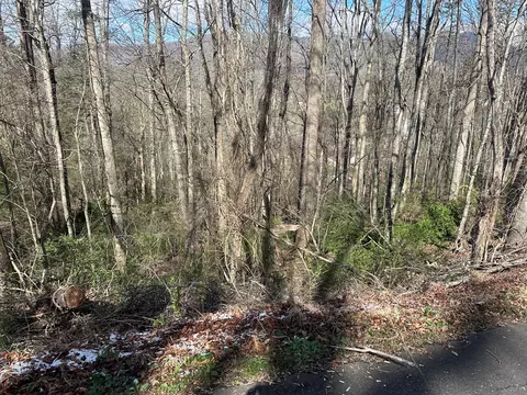 0 Lee St, Sylva, NC 28779 photo 7