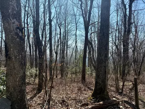24 Cloudview Pt, Sapphire, NC 28734 photo 7