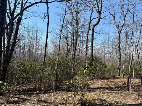 24 Cloudview Pt, Sapphire, NC 28734 photo 23