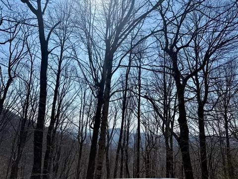 24 Cloudview Pt, Sapphire, NC 28734 photo 4