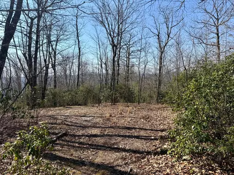 24 Cloudview Pt, Sapphire, NC 28734 photo 13