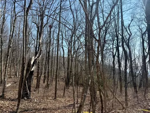 24 Cloudview Pt, Sapphire, NC 28734 photo 15