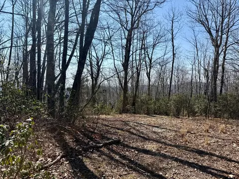 24 Cloudview Pt, Sapphire, NC 28734 photo 12