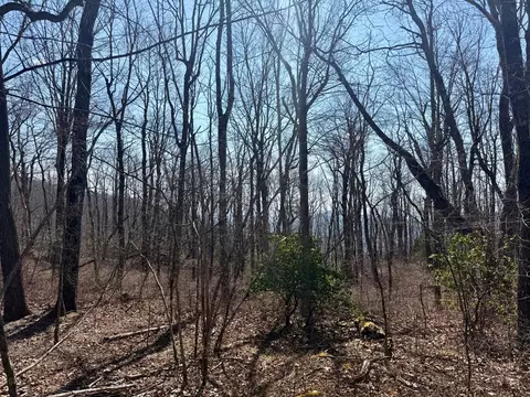 24 Cloudview Pt, Sapphire, NC 28734 photo 17