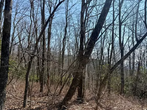 24 Cloudview Pt, Sapphire, NC 28734 photo 20