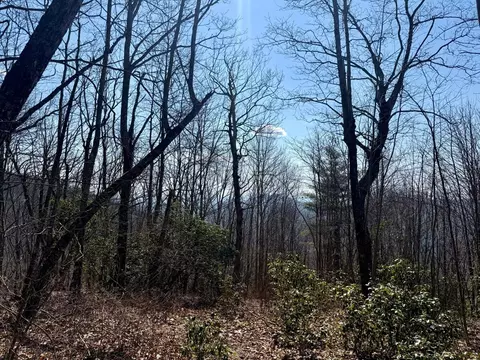 24 Cloudview Pt, Sapphire, NC 28734 photo 21