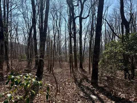 24 Cloudview Pt, Sapphire, NC 28734 photo 18