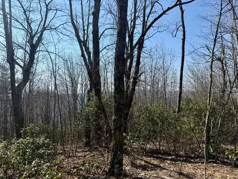 24 Cloudview Pt, Sapphire, NC 28734 photo 22