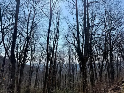 24 Cloudview Pt, Sapphire, NC 28734 photo 26