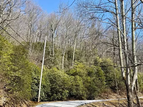 24 Cloudview Pt, Sapphire, NC 28734 photo 6