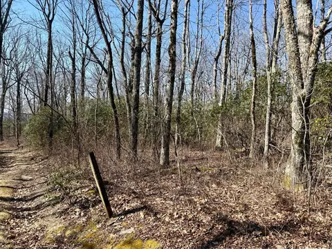 24 Cloudview Pt, Sapphire, NC 28734 photo 9