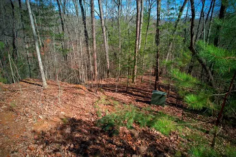 lot17 Eastern Rdg, Murphy, NC 28906 photo 2